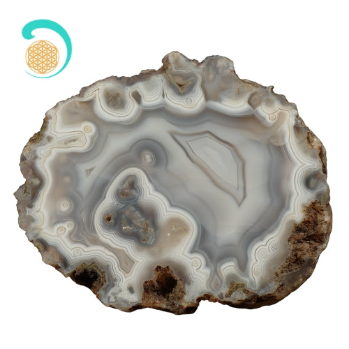 Vue en coupe d'une agate de Botswana brute. Ces lignes douces et ces couleurs tendres favorisent l'équilibre du chakra sacré. daariayoga.com