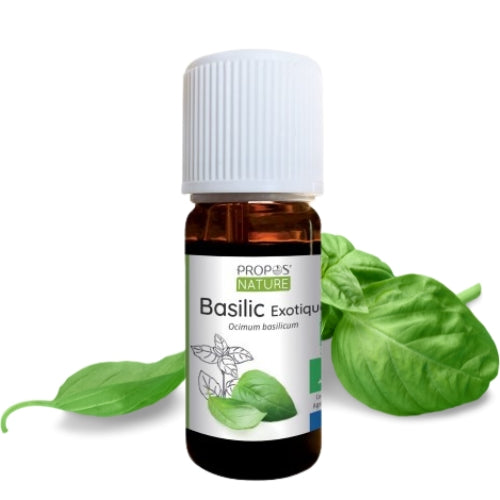 Huile essentielle bio de Basilic Tropical (ou exotique) utile pour ouvrir le chakra du plexus solaire. Achetez maintenant sur daariayoga.com