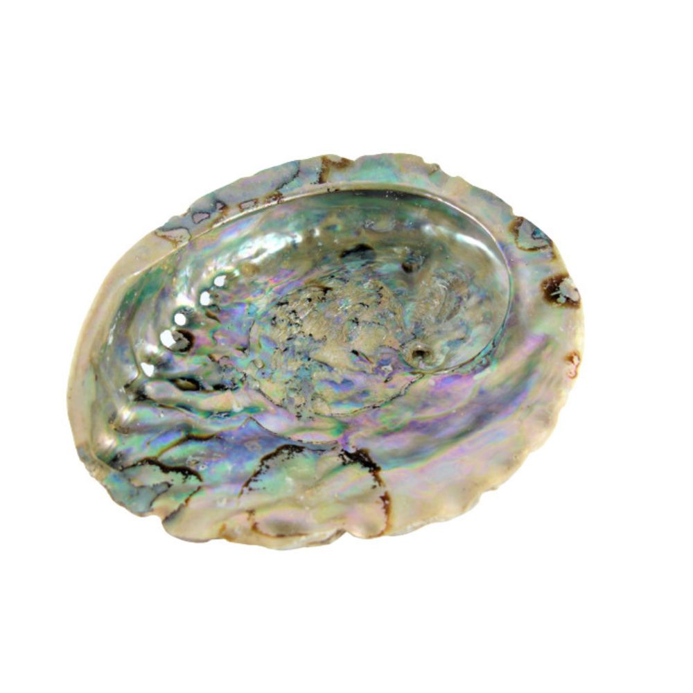 Coquille d'Ormeau Nacrée pour Fumigation - Sauge, Palo Danto, Copal - 12-14cm
