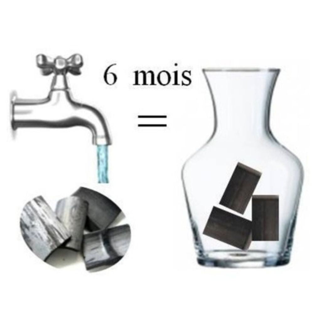 Charbon actif Takesumi, bâtonnet pour 0,5 à 0,75 litre d’eau courante