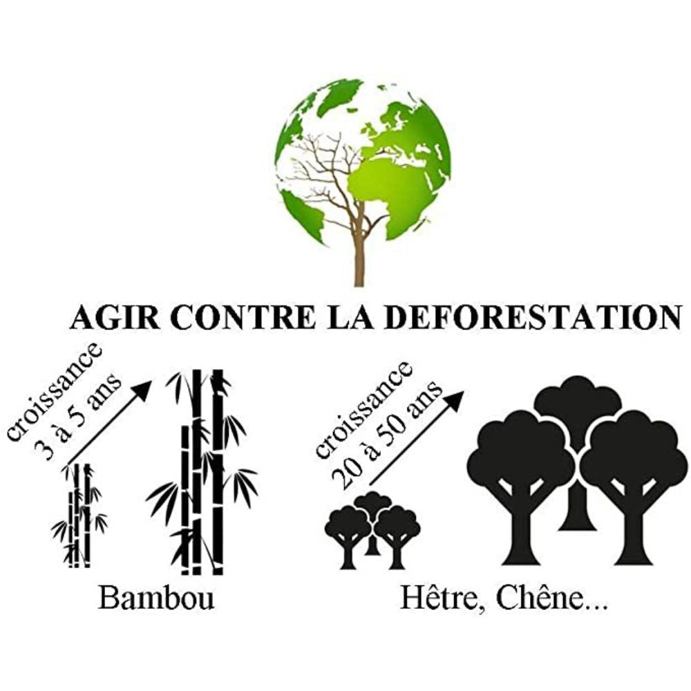 Charbon actif Takesumi, bâtonnet pour 0,5 à 0,75 litre d’eau courante