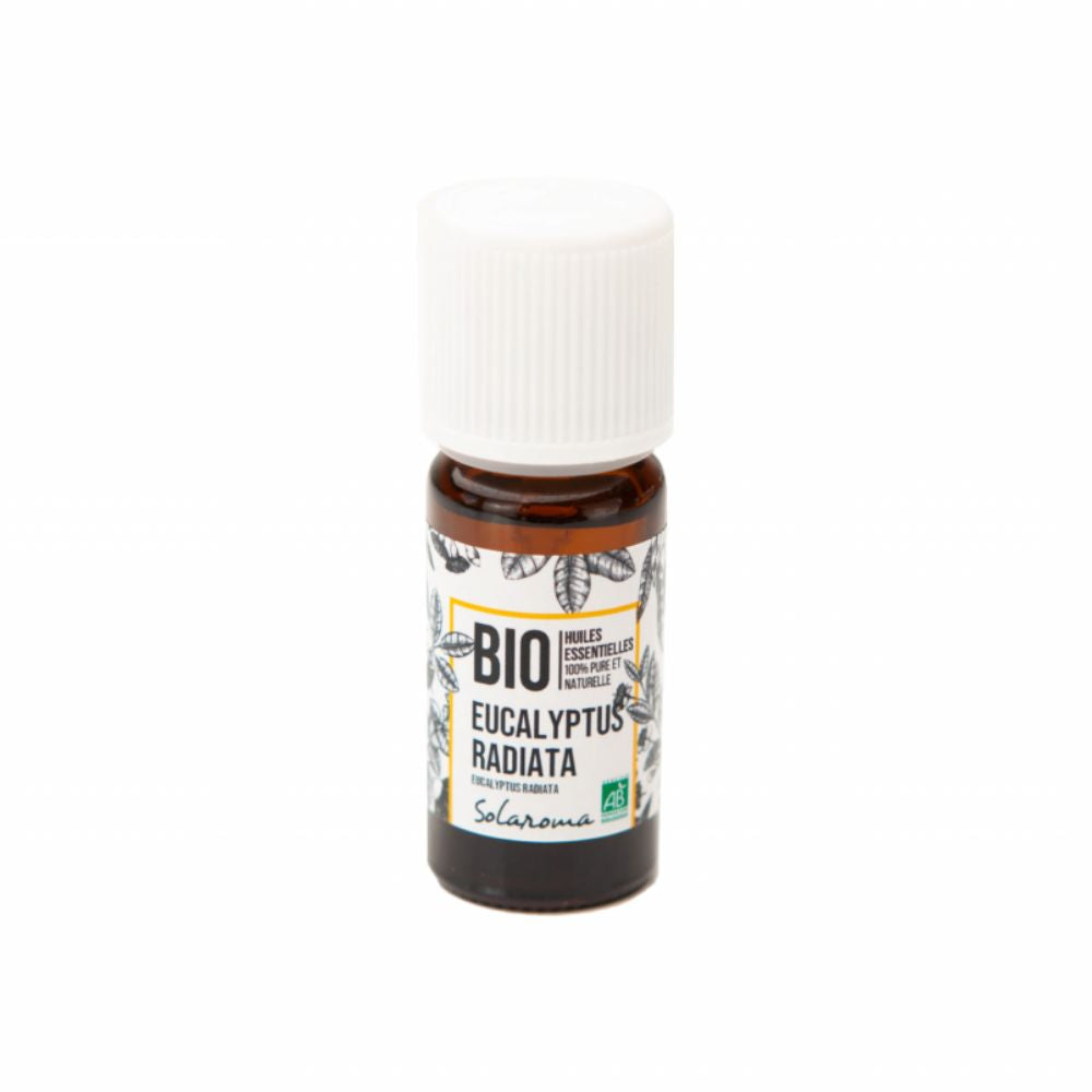 Eucalyptus Radié Bio Huile Essentielle Bio - Chakra de la Gorge - 10 ml