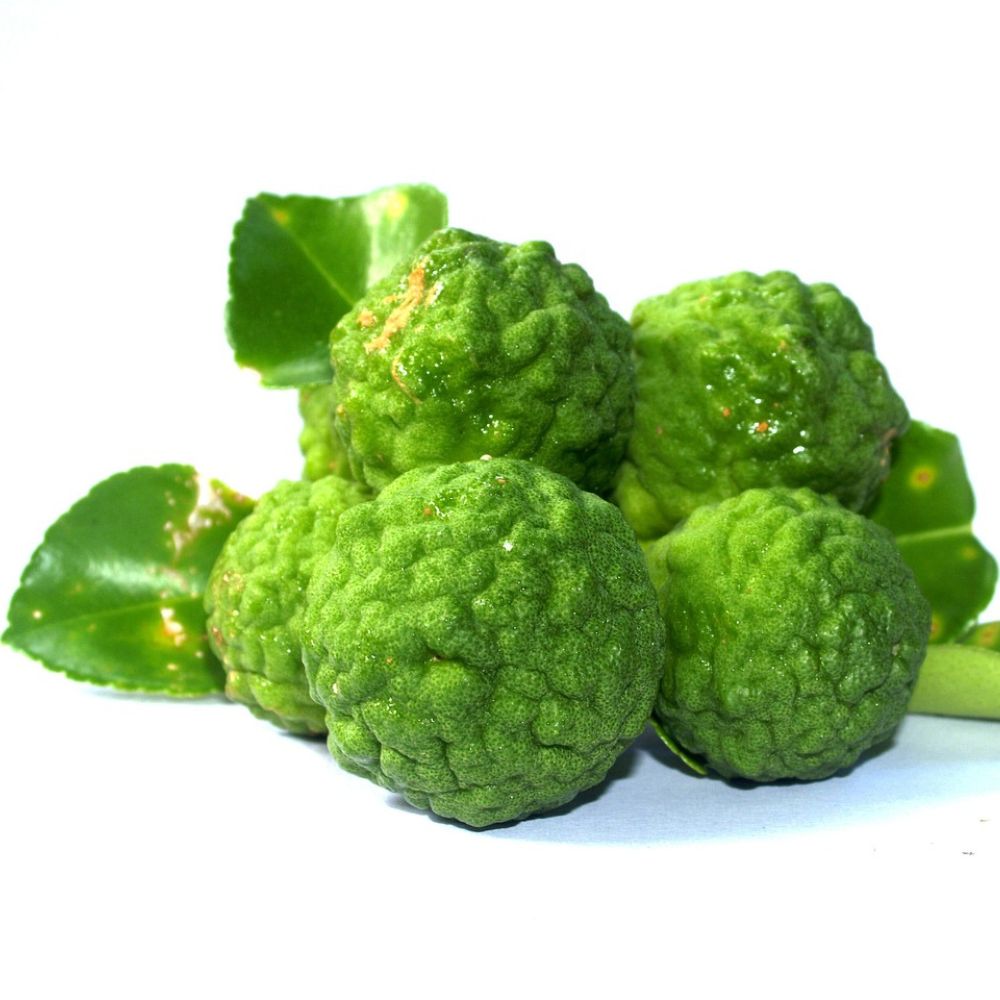 Bergamote, Orange & Citron - Lady Star Deluxe - Thé Noir Alveus Bio, 100g