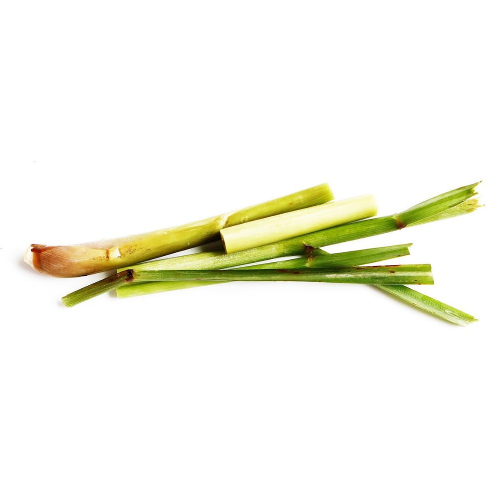 Citronnelle de Java Huile Essentielle Bio - Plexus Solaire - 10 ml