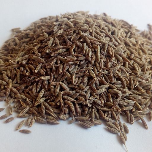 Bio Digest - Infusion Bio - 70g
