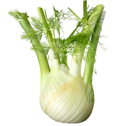 Bio Digest - Infusion Bio - 70g