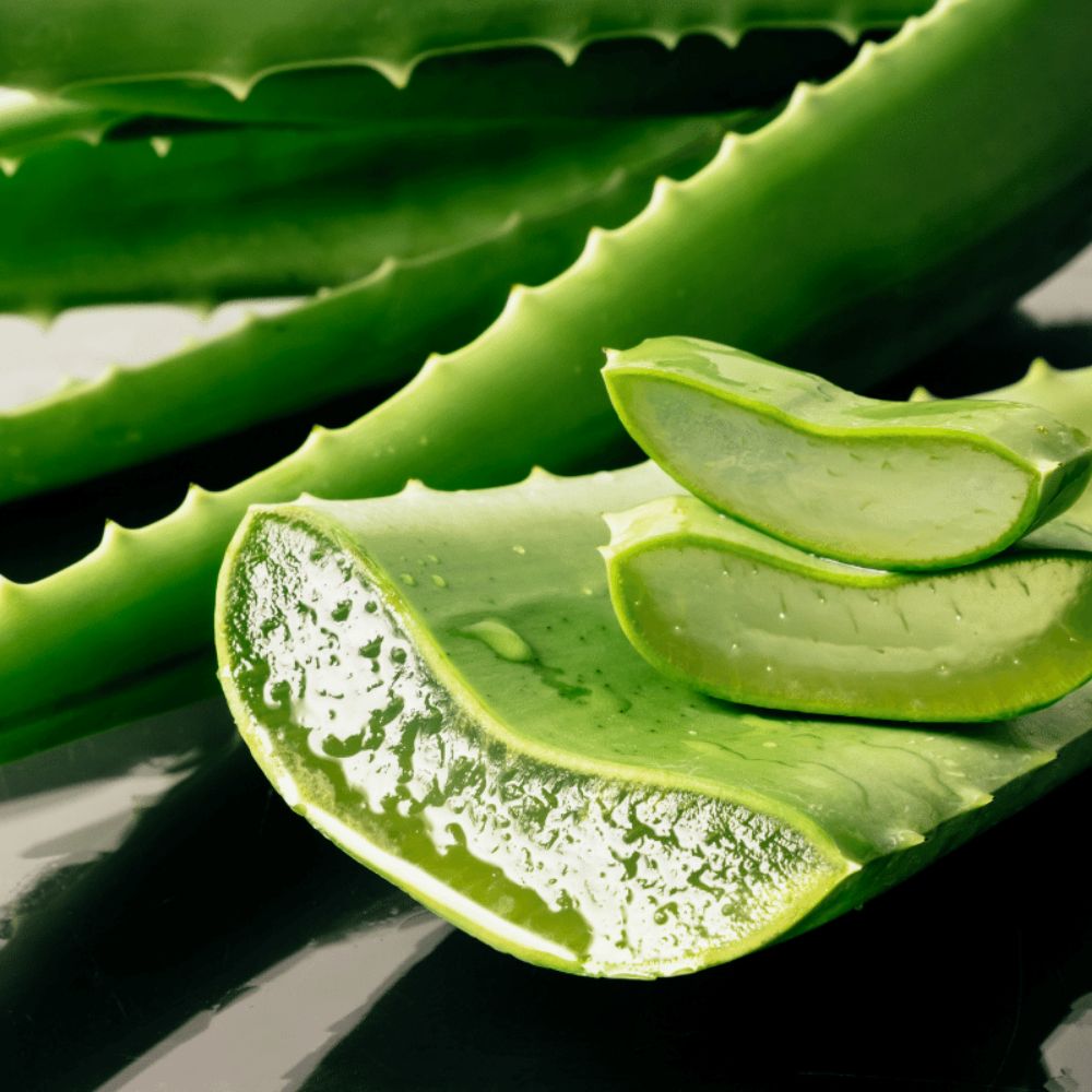 Eponge végétale en Konjac BIO enrichie à l'Aloe Vera pour peau à problèmes, 6g